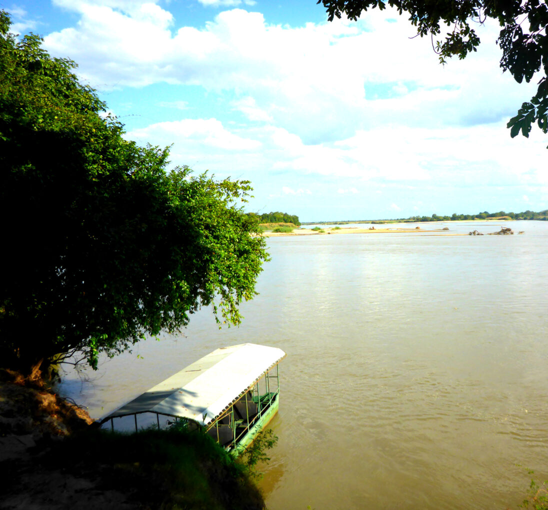 Safari auf dem Rufiji River
