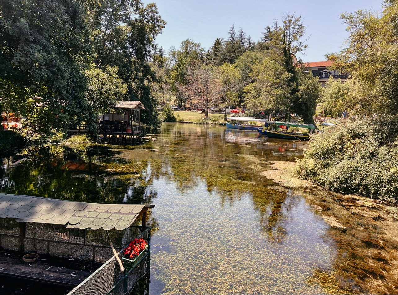 Quelle am Ohrid